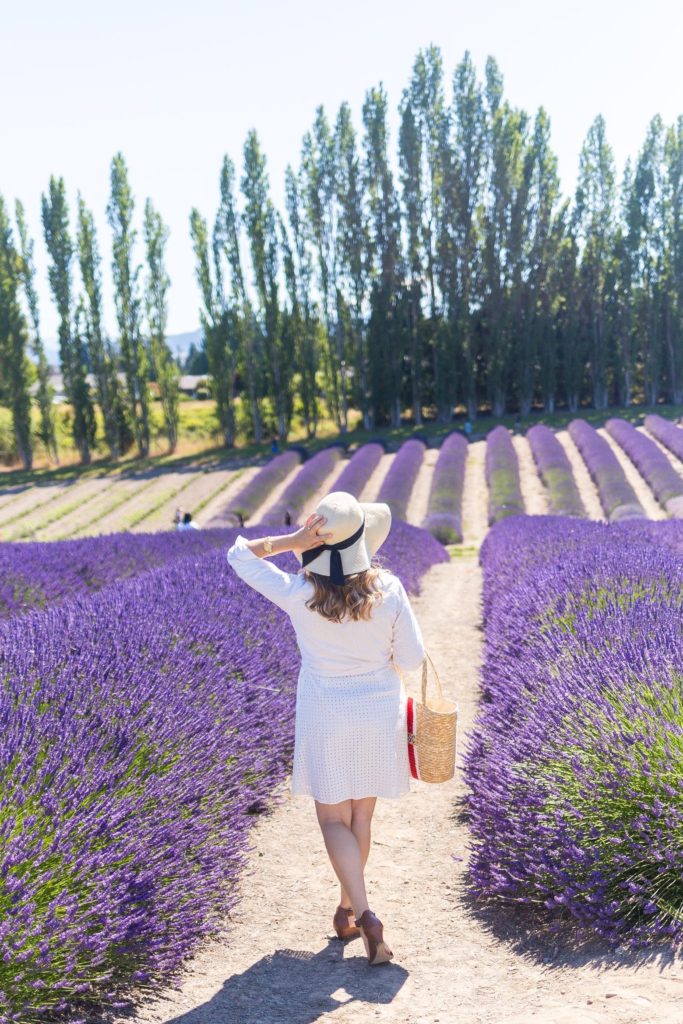 lavender festival - summer to do list - all white after Labor Day - all white summer outfit - feminine summer outfit idea - how to wear a dress as a skirt - Sequim Lavender Festival